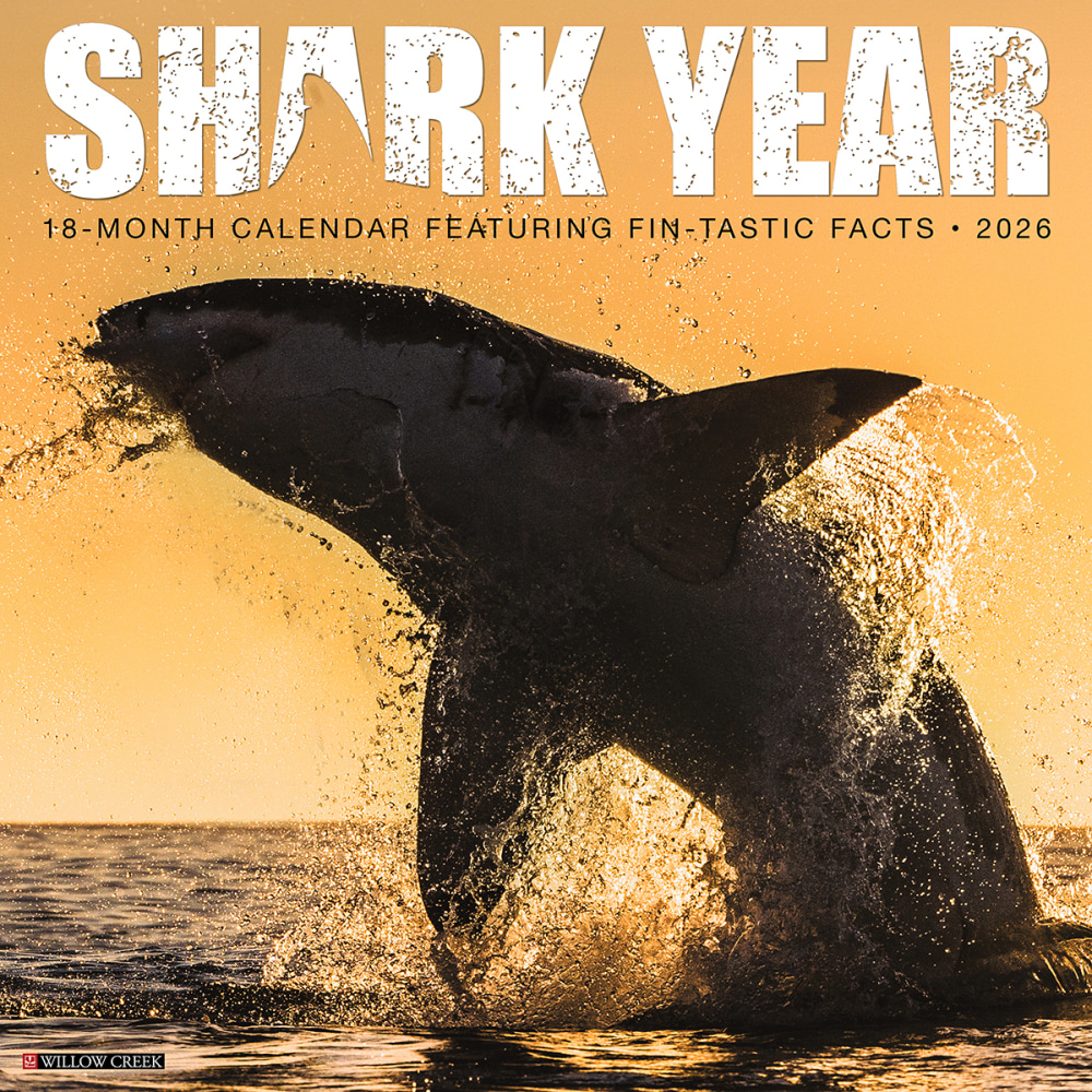 2026 Willow Creek Press Animals Monthly Wall Calendar, 12in x 12in, Shark Year, January To December, 52747 MPN:9781549252747