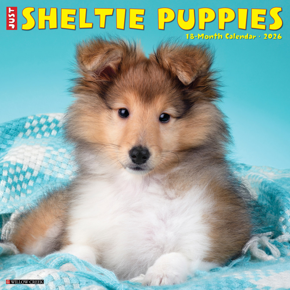 2026 Willow Creek Press Animals Monthly Wall Calendar, 12in x 12in, Sheltie Puppies, January To December, 52754 MPN:9781549252754