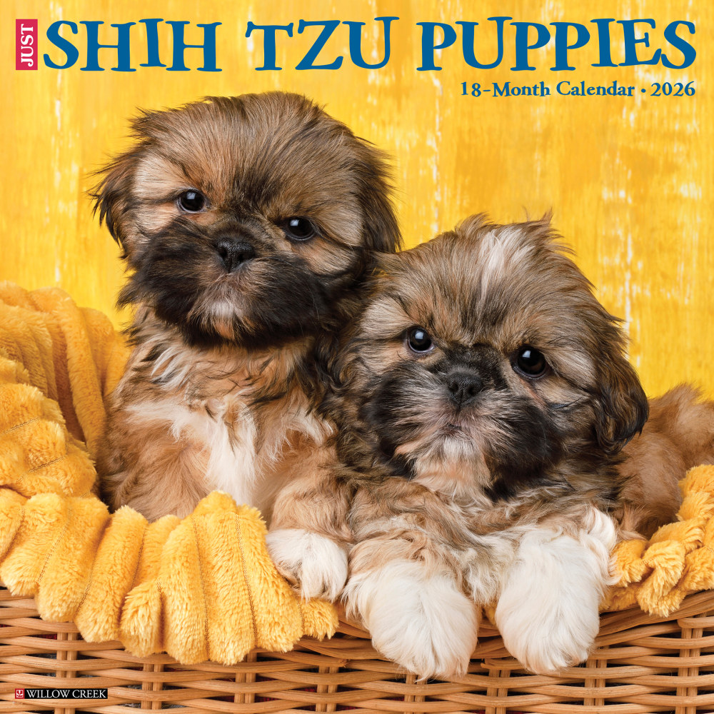 2026 Willow Creek Press Animals Monthly Wall Calendar, 12in x 12in, Shih Tzu Puppies, January To December, 52778 MPN:9781549252778
