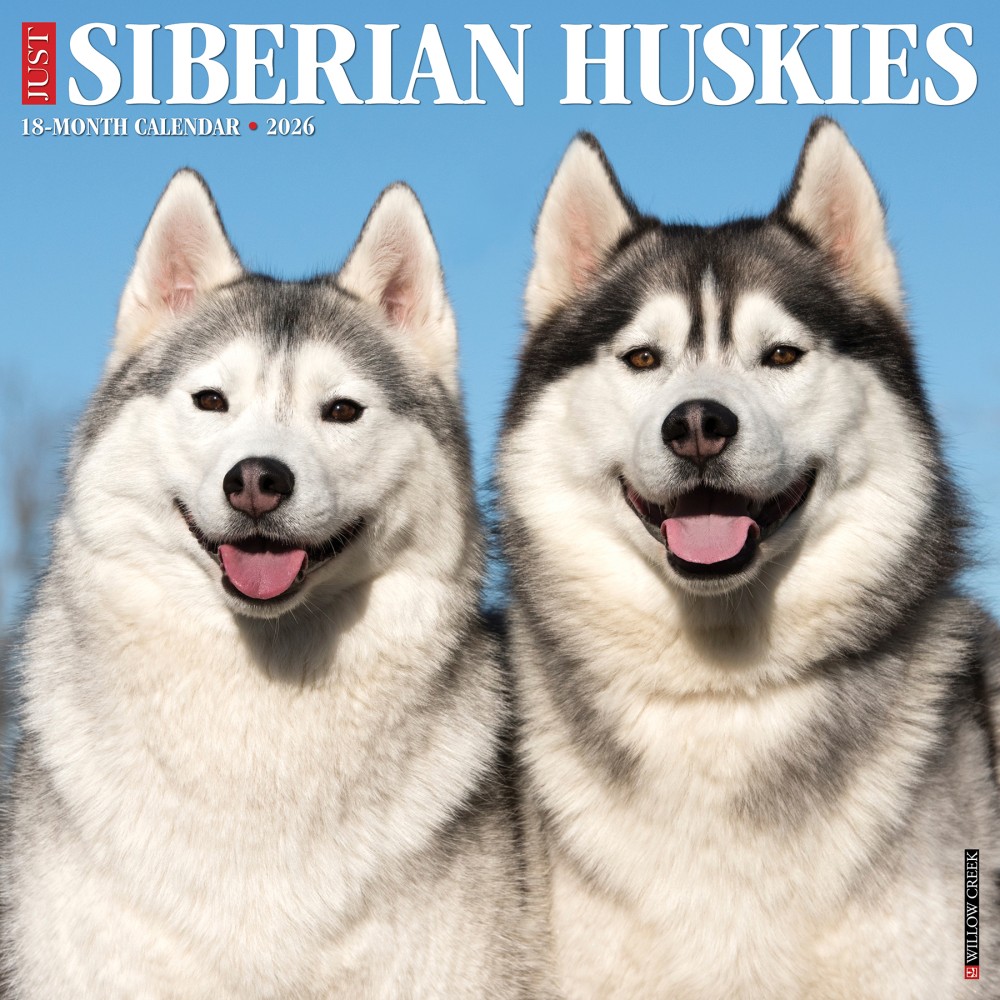 2026 Willow Creek Press Animals Monthly Wall Calendar, 12in x 12in, Siberian Huskies, January To December, 52792 MPN:9781549252792