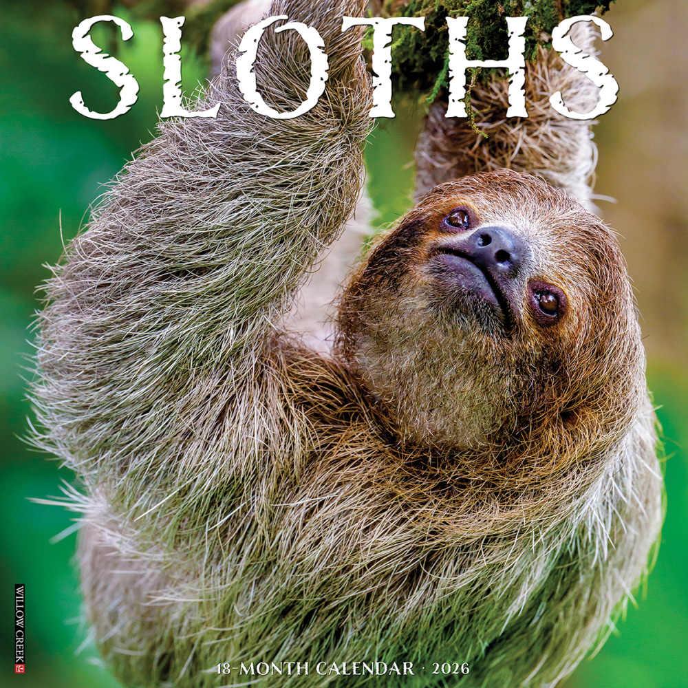 2026 Willow Creek Press Animals Monthly Wall Calendar, 12in x 12in, Sloths, January To December, 52846 MPN:9781549252846