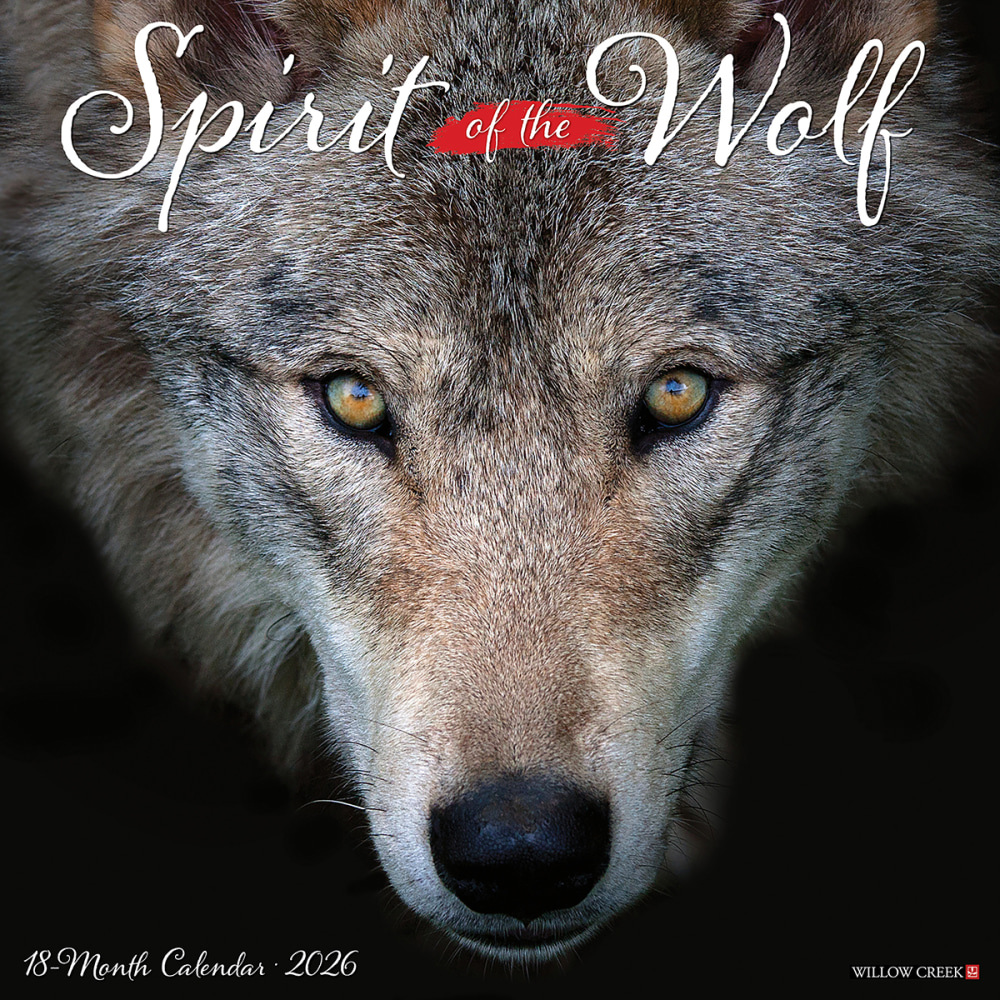 2026 Willow Creek Press Animals Monthly Wall Calendar, 12in x 12in, Spirit of the Wolf, January To December, 52884 MPN:9781549252884