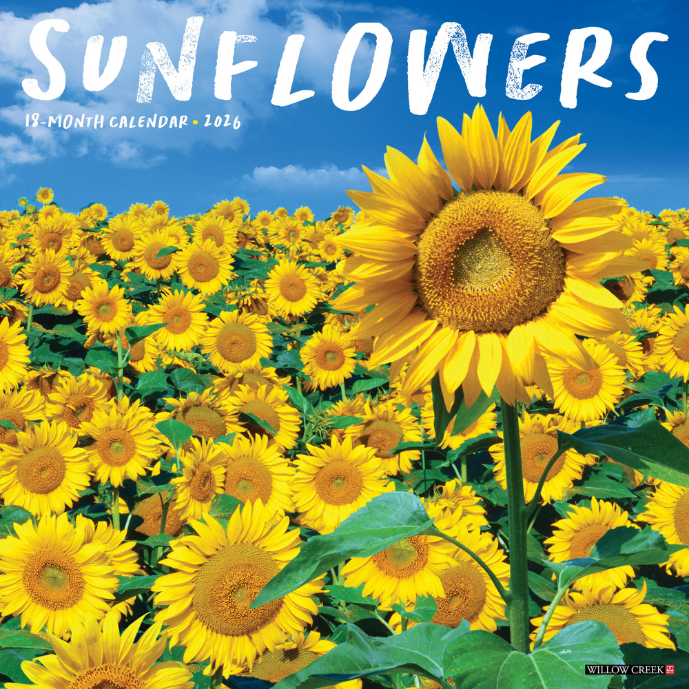 2026 Willow Creek Press Art & Design Monthly Wall Calendar, 12in x 12in, Sunflowers, January To December, 52907 MPN:9781549252907