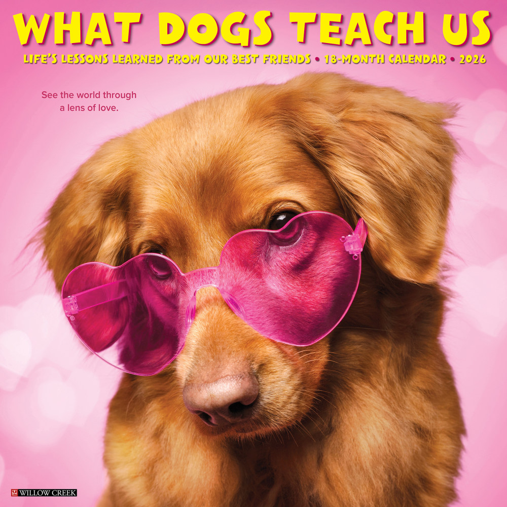 2026 Willow Creek Press Animals Monthly Wall Calendar, 12in x 12in, What Dogs Teach Us, January To December, 53164 MPN:9781549253164