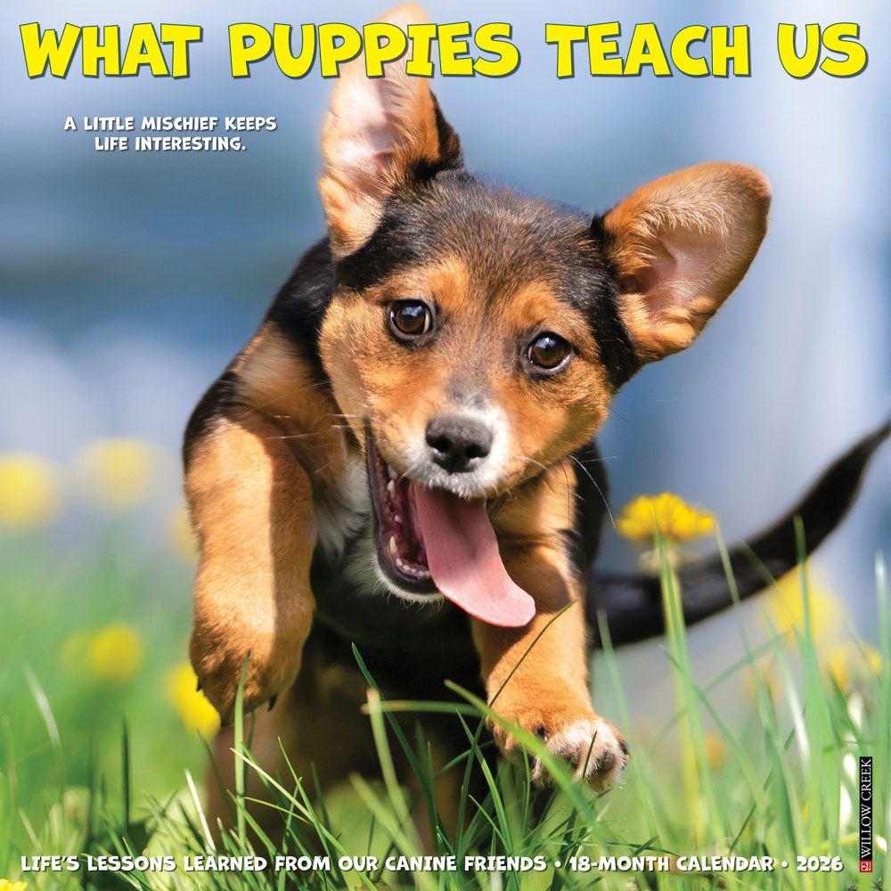 2026 Willow Creek Press Animals Monthly Wall Calendar, 12in x 12in, What Puppies Teach Us, January To December, 53225 MPN:9781549253225
