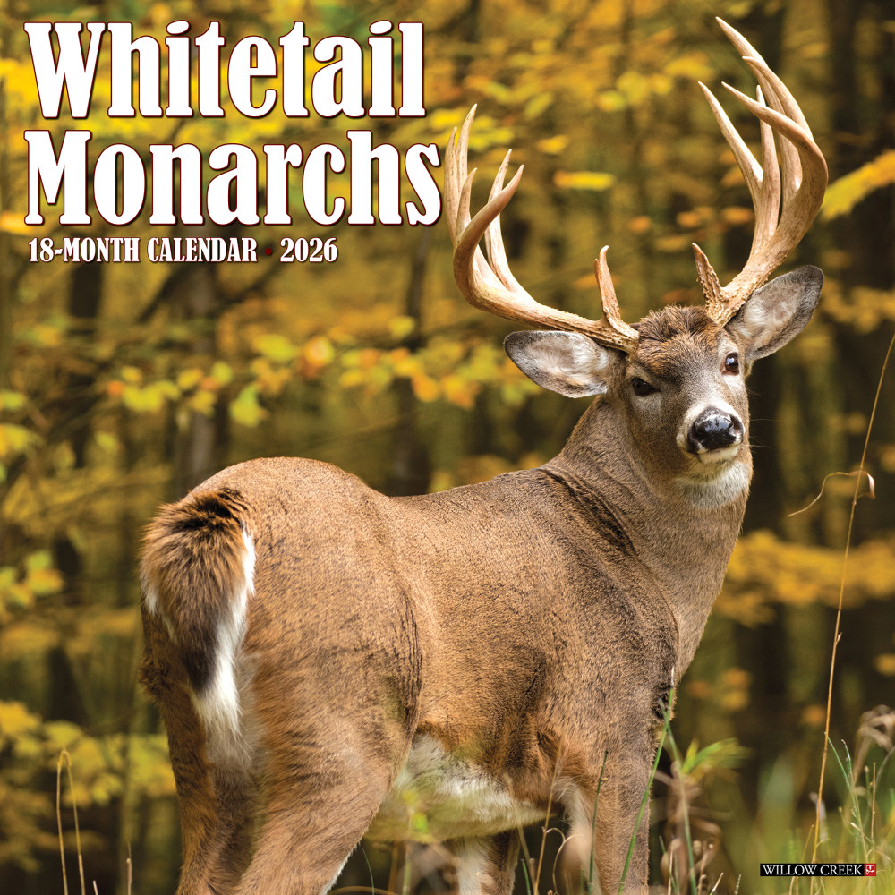 2026 Willow Creek Press Animals Monthly Wall Calendar, 12in x 12in, Whitetail Monarchs (Deer), January To December, 53249 MPN:9781549253249