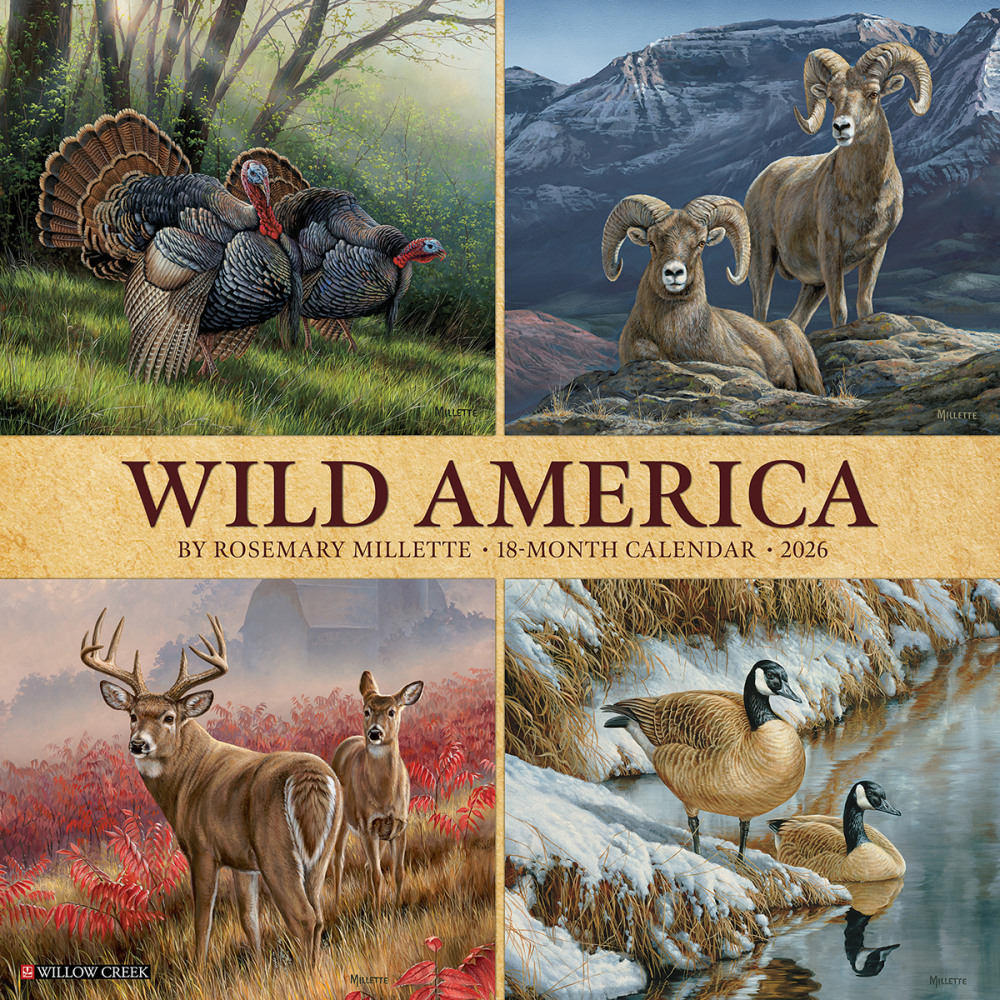 2026 Willow Creek Press Animals Monthly Wall Calendar, 12in x 12in, Wild America, January To December, 53270 MPN:9781549253270