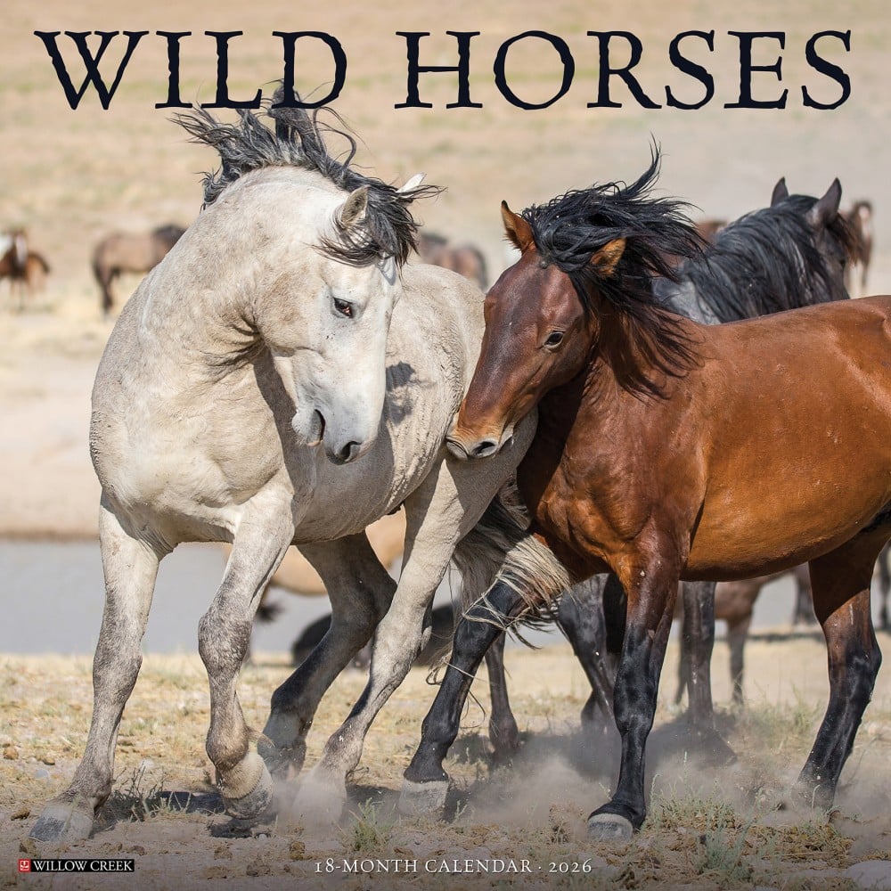 2026 Willow Creek Press Animals Monthly Wall Calendar, 12in x 12in, Wild Horses, January To December, 53287 MPN:9781549253287