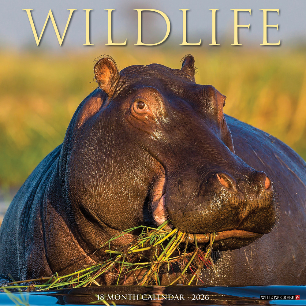 2026 Willow Creek Press Animals Monthly Wall Calendar, 12in x 12in, Wildlife, January To December, 53300 MPN:9781549253300