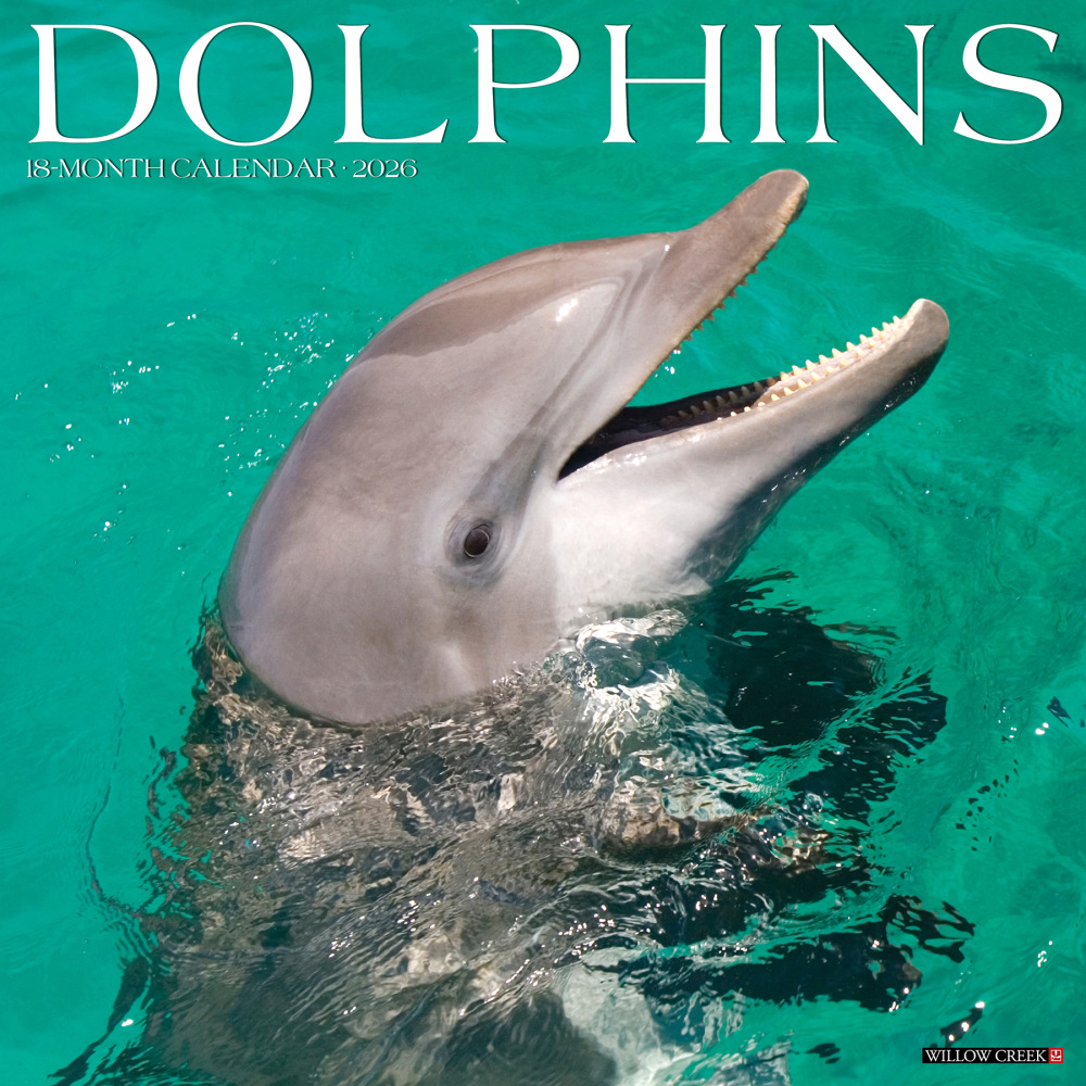 2026 Willow Creek Press Animals Monthly Wall Calendar, 12in x 12in, Dolphins, January To December, 55403 MPN:9781549255403