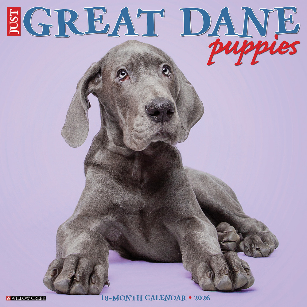 2026 Willow Creek Press Animals Monthly Wall Calendar, 12in x 12in, Great Dane Puppies, January To December, 55441 MPN:9781549255441