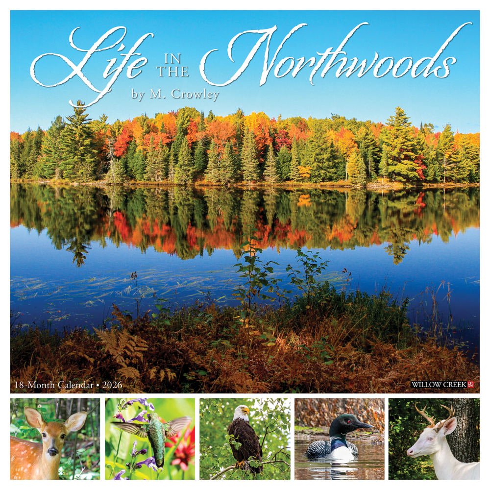 2026 Willow Creek Press Scenic Monthly Wall Calendar, 12in x 12in, Life in the Northwoods, January To December, 55472 MPN:9781549255472