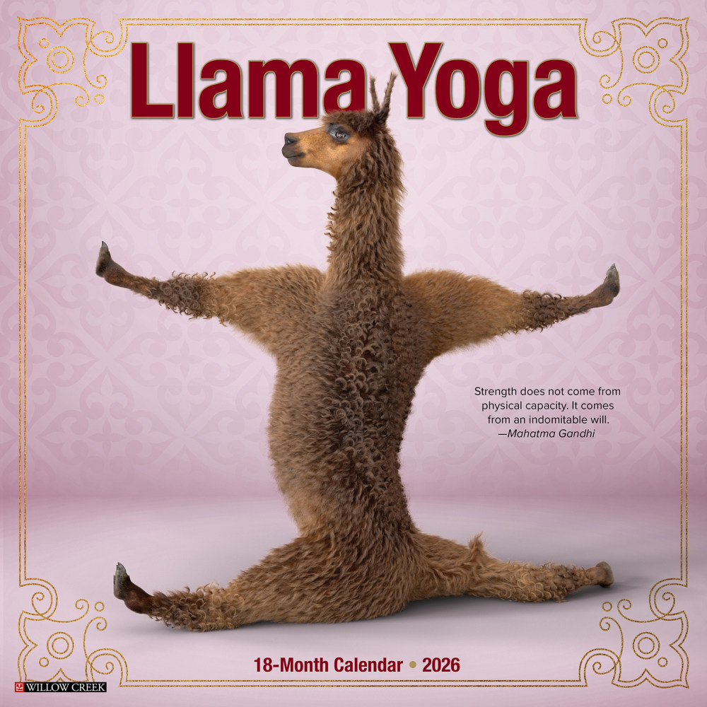 2026 Willow Creek Press Animals Monthly Wall Calendar, 12in x 12in, Llama Yoga, January To December, 55489 MPN:9781549255489