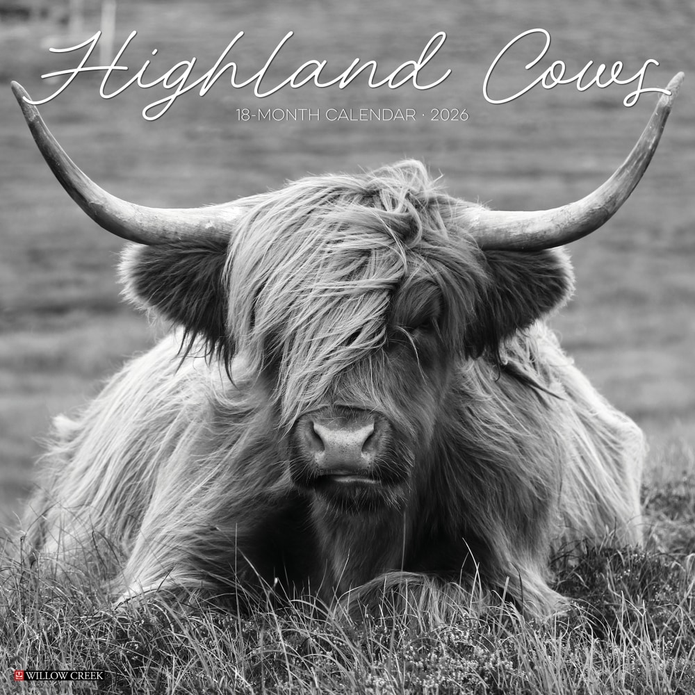 2026 Willow Creek Press Animals Monthly Wall Calendar, 12in x 12in, Highland Cows B&W, January To December, 55847 MPN:9781549255847
