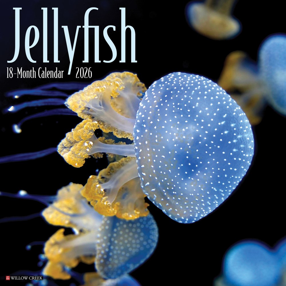 2026 Willow Creek Press Animals Monthly Wall Calendar, 12in x 12in, Jellyfish, January To December, 55892 MPN:9781549255892