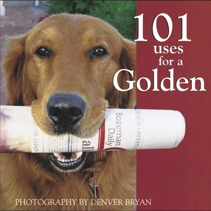 Willow Creek Press 5-1/2in x 5-1/2in Hardcover Gift Book, 101 Uses For A Golden MPN:2110