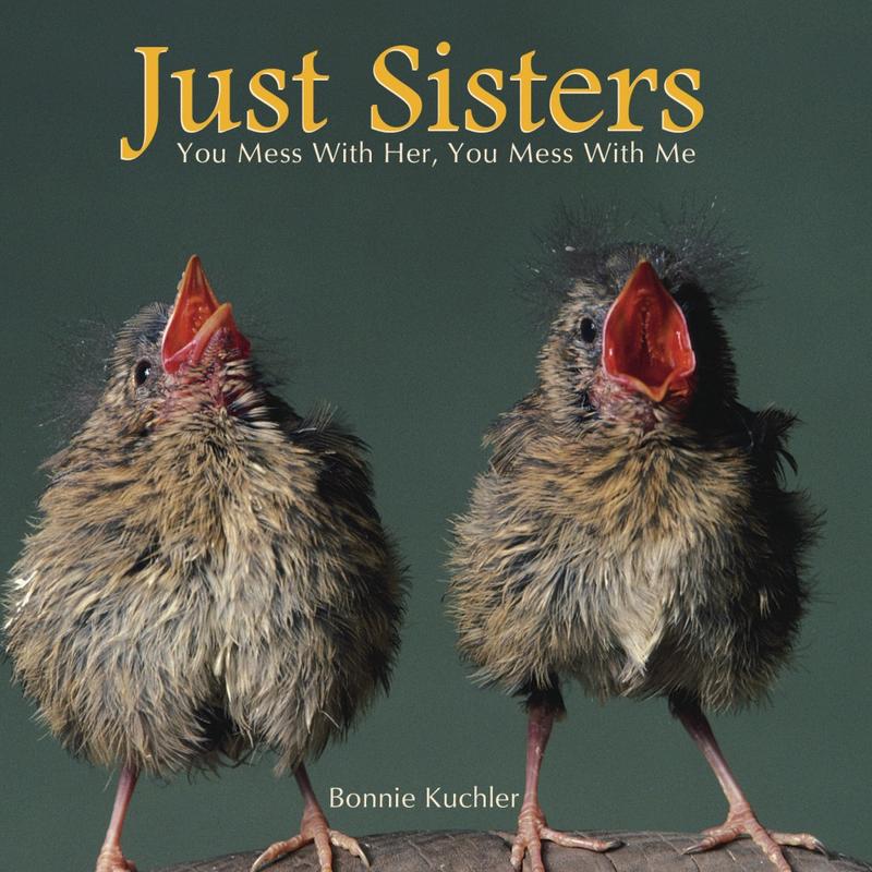 Willow Creek Press 5-1/2in x 5-1/2in Hardcover Gift Book, Just Sisters By Bonnie Kuchler MPN:4425