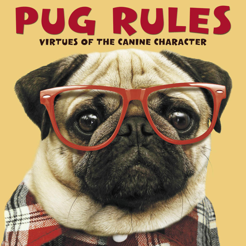 Willow Creek Press 5-1/2in x 5-1/2in Hardcover Gift Book, Pug Rules MPN:48130