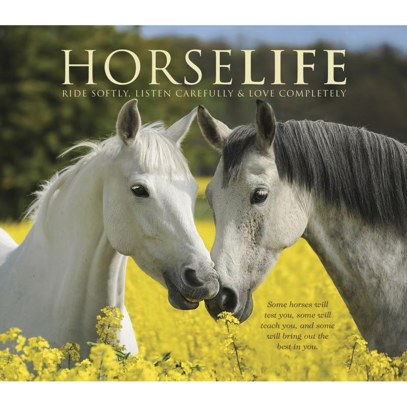Willow Creek Press 7in x 8in Hardcover Gift Book, Horse Life MPN:48215
