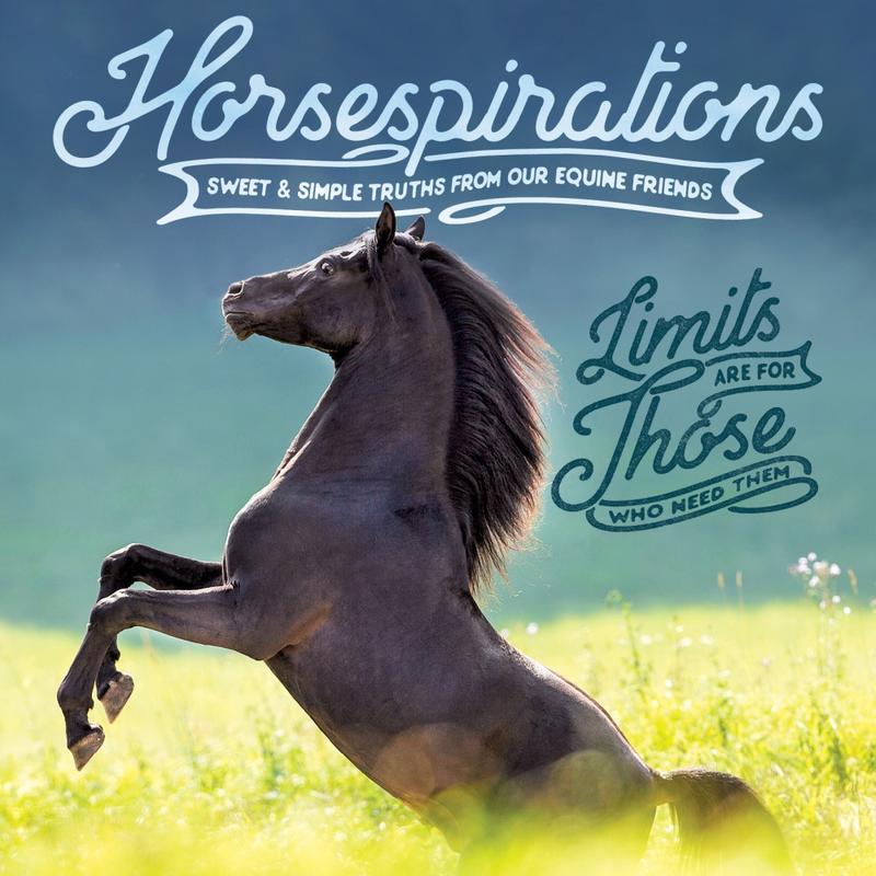 Willow Creek Press 5-1/2in x 5-1/2in Hardcover Gift Book, Horsespirations MPN:48499