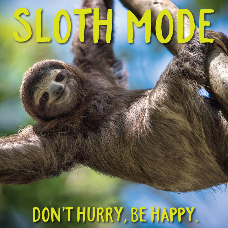 Willow Creek Press 5-1/2in x 5-1/2in Hardcover Gift Book, Sloth Mode MPN:48512