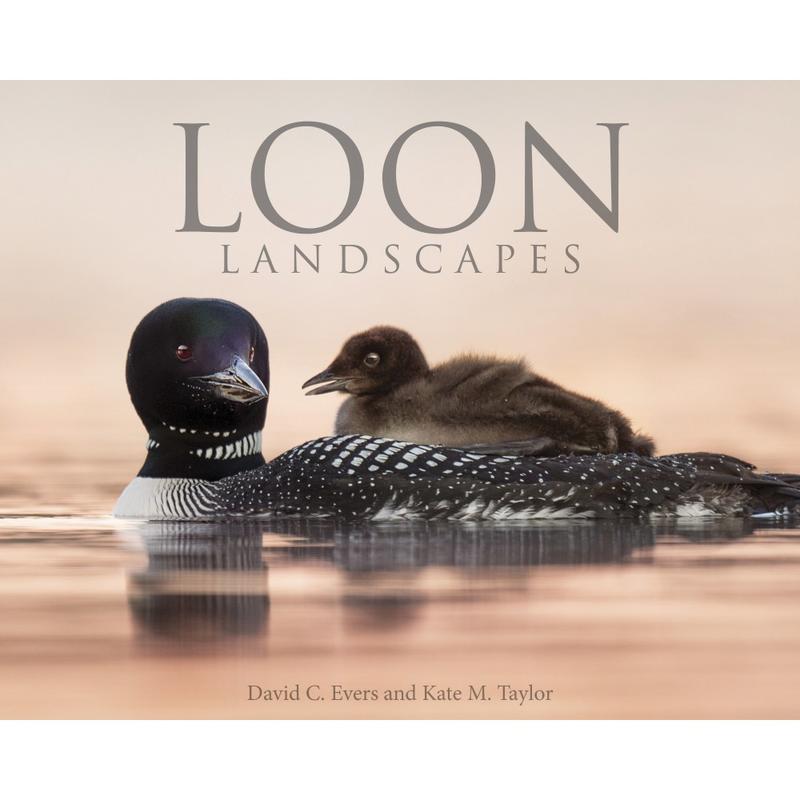 Willow Creek Press 8in x 10in Hardcover Gift Book, Loon Landscapes By Evers & Taylor MPN:48550