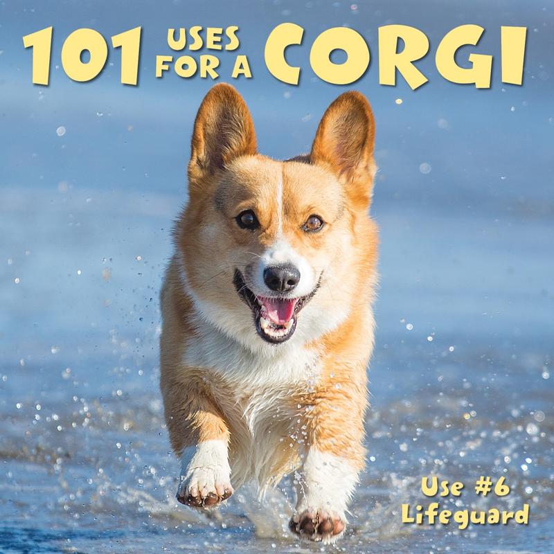 Willow Creek Press 5-1/2in x 5-1/2in Hardcover Gift Book, 101 Uses For A Corgi MPN:48574