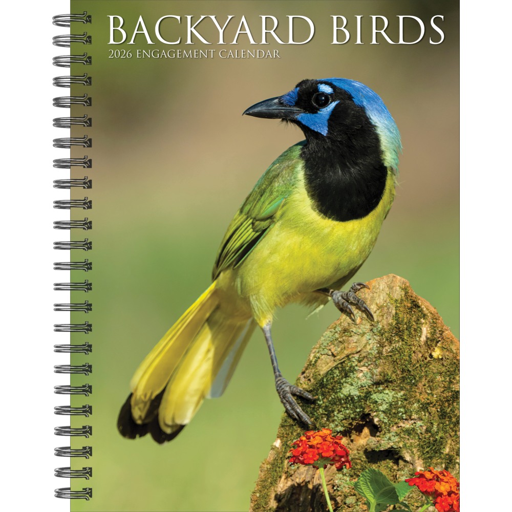 2026 Willow Creek Press Weekly Engagement Calendar, 6-1/2in x 8-1/2in, Backyard Beauties, January To December, 54574 MPN:54574