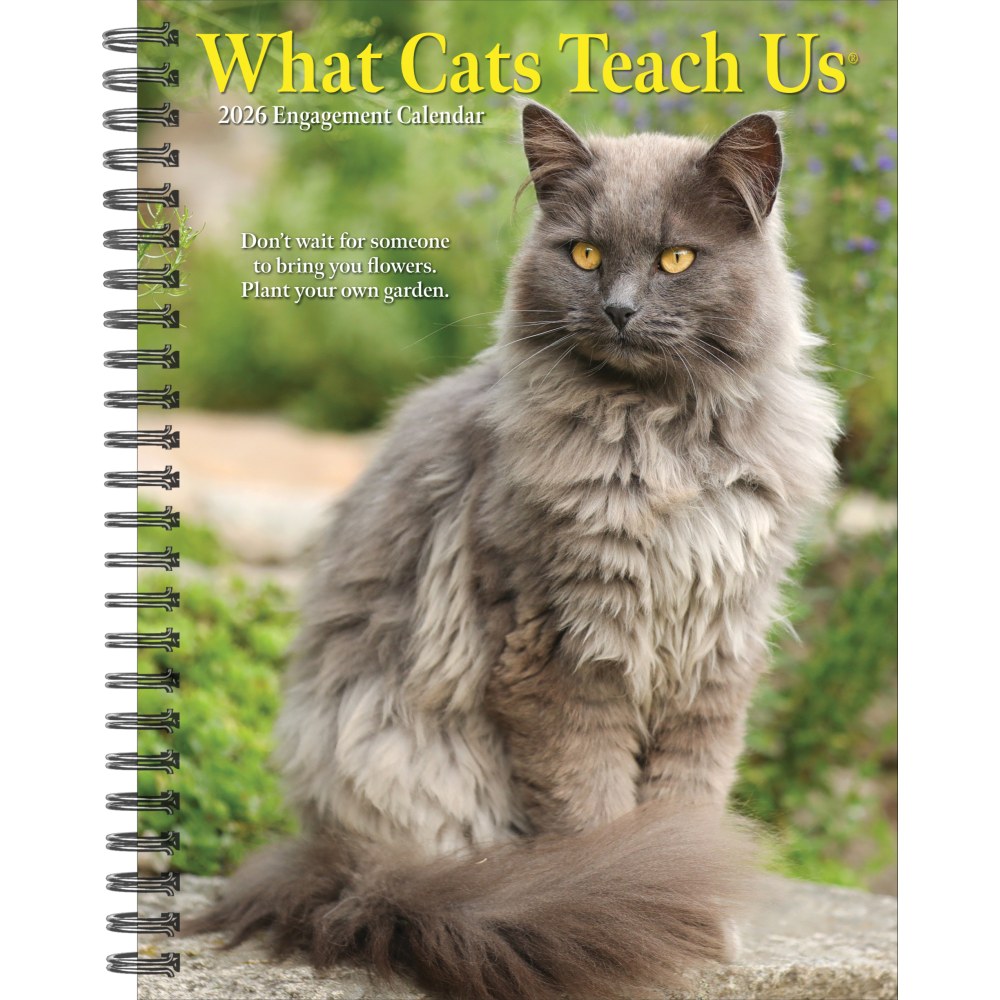 2026 Willow Creek Press Weekly Engagement Calendar, 6-1/2in x 8-1/2in, What Cats Teach Us, January To December, 54666 MPN:54666