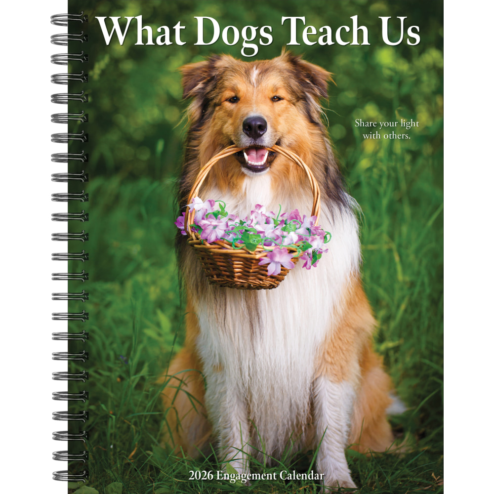 2026 Willow Creek Press Weekly Engagement Calendar, 6-1/2in x 8-1/2in, Pup Perspectives, January To December, 54673 MPN:54673