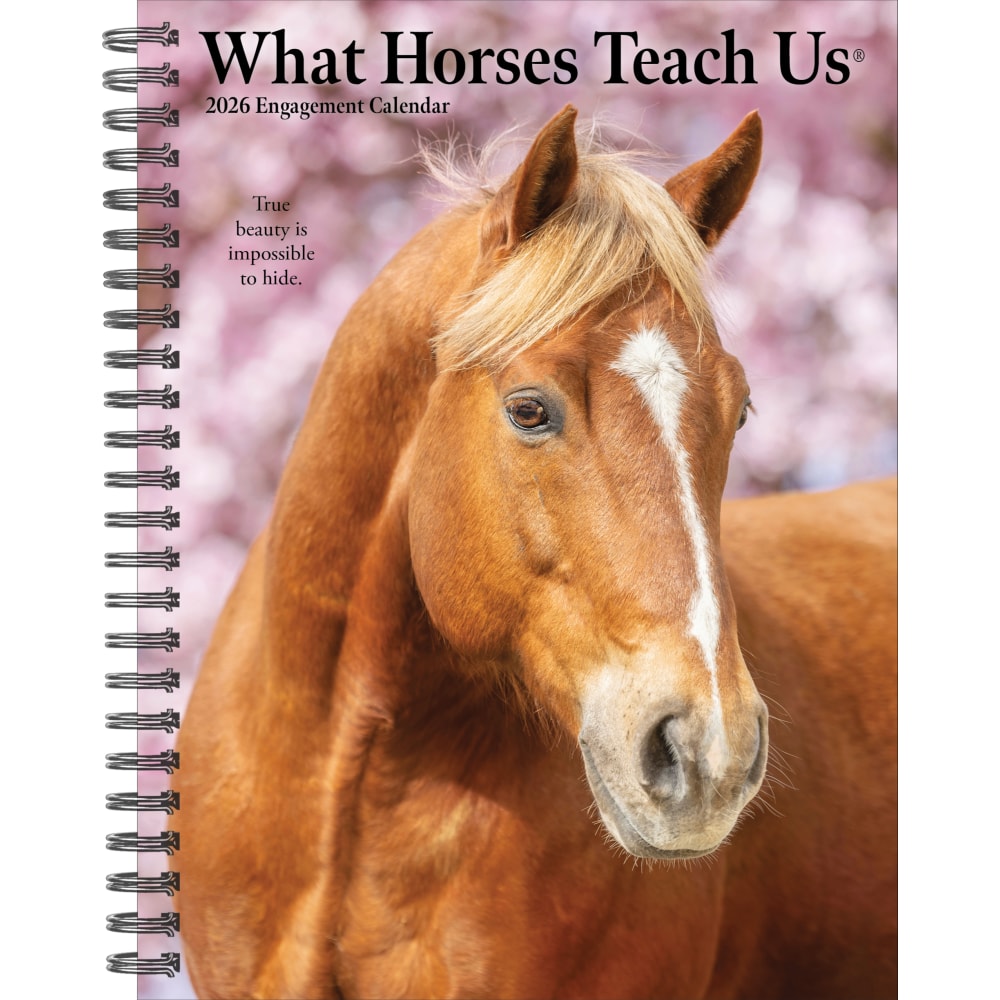 2026 Willow Creek Press Weekly Engagement Calendar, 6-1/2in x 8-1/2in, Stallion Stories, January To December, 54697 MPN:54697