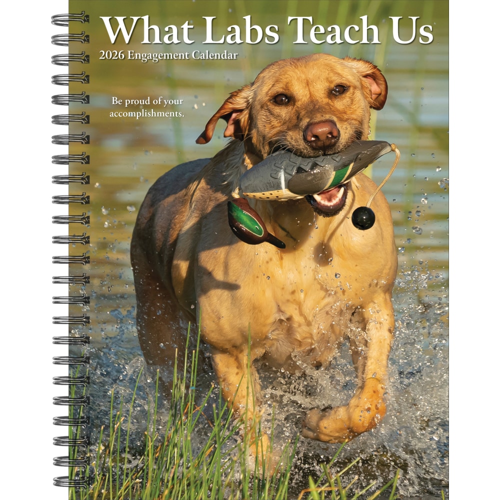 2026 Willow Creek Press Weekly Engagement Calendar, 6-1/2in x 8-1/2in, What Labs Teach Us, January To December, 55267 MPN:55267