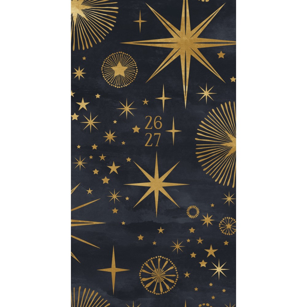 2026-2027 Willow Creek Press 2-Year Monthly Checkbook/Calendar, 3-1/2in x 6-1/2in, Celestial, January 2026 To December 2027, 56516 MPN:56516