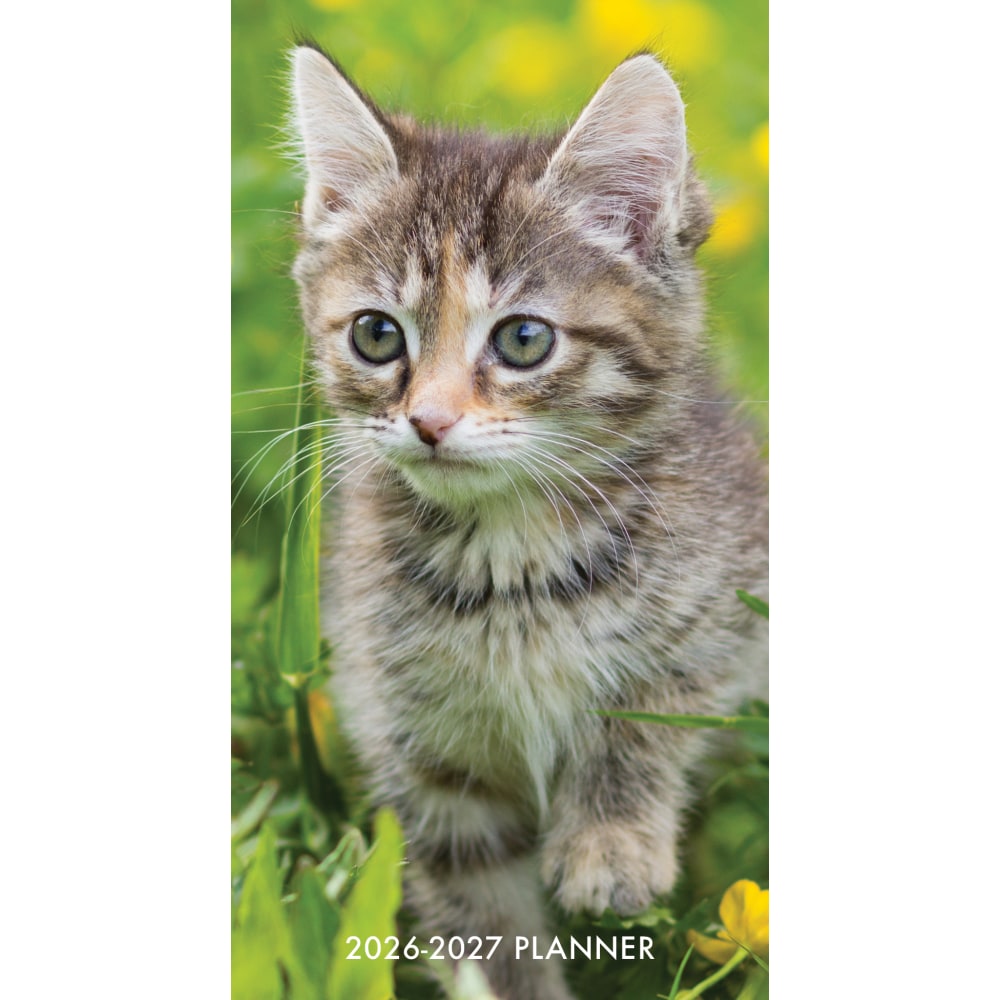 2026-2027 Willow Creek Press 2-Year Monthly Checkbook/Calendar, 3-1/2in x 6-1/2in, Cute as A Kitten, January 2026 To December 2027, 56530 MPN:56530