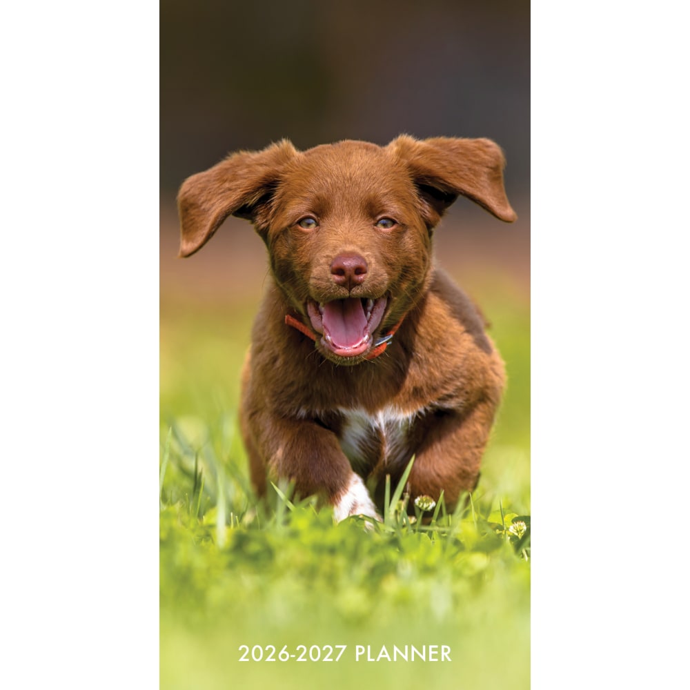 2026-2027 Willow Creek Press 2-Year Monthly Checkbook/Calendar, 3-1/2in x 6-1/2in, Puppy Love, January 2026 To December 2027, 56622 MPN:56622