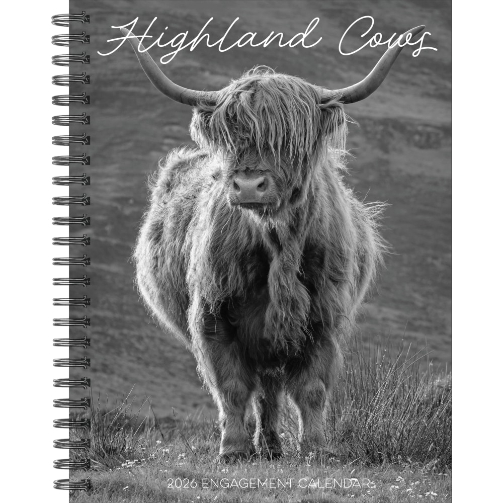 2026 Willow Creek Press Weekly Engagement Calendar, 6-1/2in x 8-1/2in, Highland Cows, January To December, 58480 MPN:58480