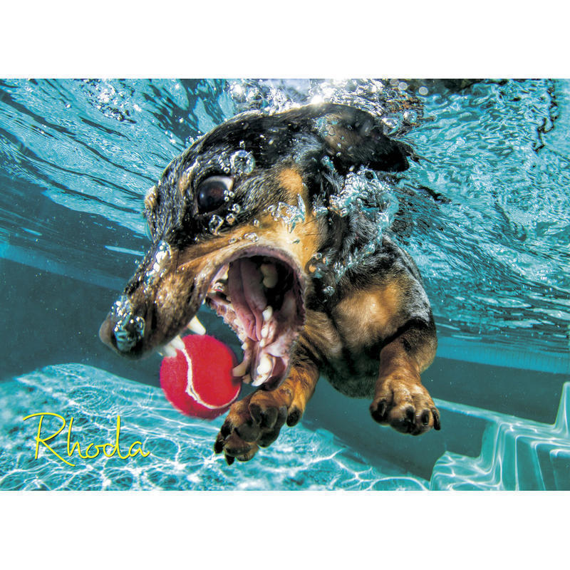 Willow Creek Press 1, 000-Piece Puzzle, 26-5/8in x 19-1/4in, Underwater Dogs: Rhoda MPN:48420