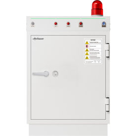 Wilson Safe Diplomat Battery Safe 12 Charging Points 27