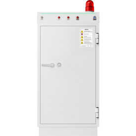 Wilson Safe Diplomat Battery Safe 18 Charging Points 27