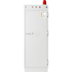 Wilson Safe Diplomat Battery Safe 30 Charging Points 27