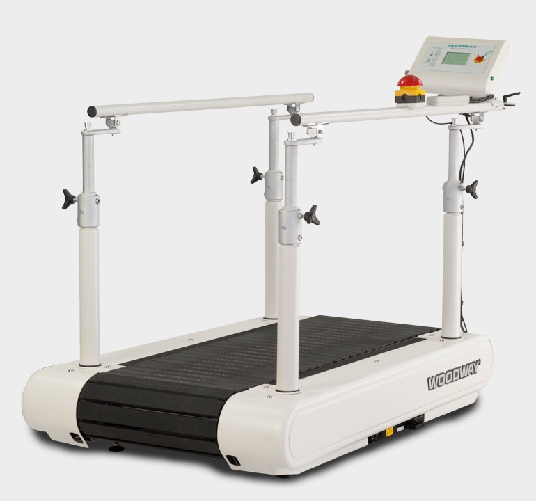 Example of GoVets Woodway brand