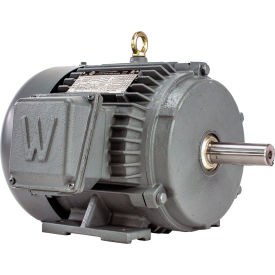 Worldwide Electric Corporation Phase 1 Grain Dryer/Centrifugal Fan Motor 5HP 1800 RPM 230/460V PEWWE5-18-184TZ-GD