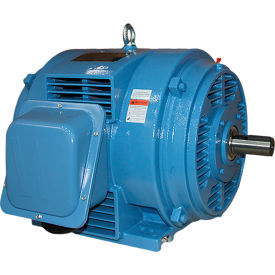 Worldwide Electric General Purpose Motor ODP 125 HP 1800 RPM 230/460V 405TS Frame Rigid Base ODP125-18-405TS