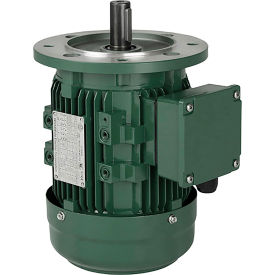 Worldwide Electric Corporation IEC Aluminum Frame Motor B3/B5 TEFC 1/4HP 3600 RPM 230/460V IEC14-36-63-FF