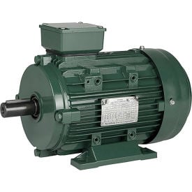 Worldwide Electric Corporation IEC Aluminum Frame Motor B3 TEFC 3HP 1800 RPM 230/460V IEC3-18-100