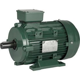 Worldwide Electric Corporation IEC Aluminum Frame Motor B3 TEFC 3HP 3600 RPM 230/460V IEC3-36-90