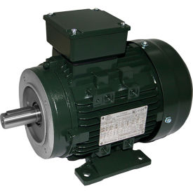Worldwide Electric Corporation IEC Aluminum Frame Motor B3/B14 TEFC 3HP 3600 RPM 230/460V IEC3-36-90-C