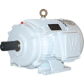 Worldwide Electric Oil Well Pump Motor 40 HP 900 RPM 230/460/796V 404T Frame CSA-US CE IOW40-9-404T