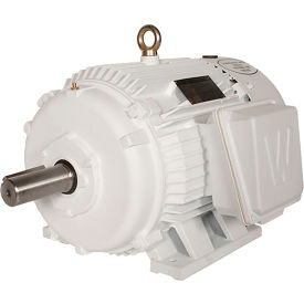 Worldwide Electric Oil Well Pump Motor 125 HP 1200 RPM 230/460/796V 447T Frame UL CE OW125-12-447T