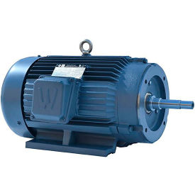 Worldwide Electric Close Coupled Motor TEFC 15 HP 3600 RPM 230/460V 215JM Frame C-Face w/ Feet PEWWE15-36-215JM